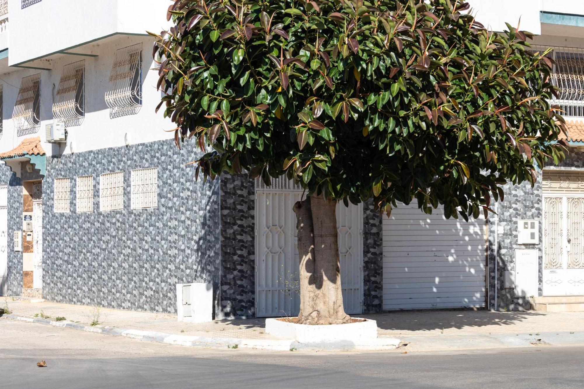 Appartements Calmes Et Spacieux Tétouan Ngoại thất bức ảnh